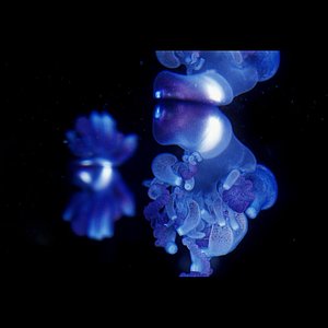 Alien Singles - EP