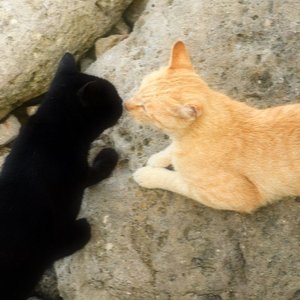 たまには都合いいように