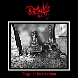Angel Of Destruction