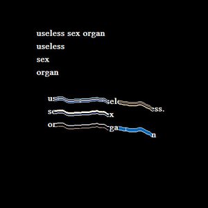 Avatar for Useless Sex Organ