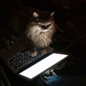 Avatar di user18081971