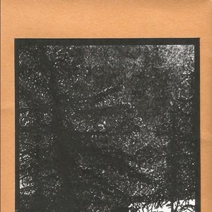 The Forest Wail