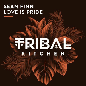 Artwork for Love And Pride