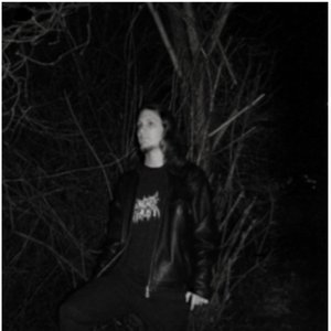 Avatar for Forest of Fog