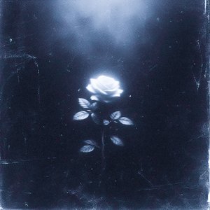 roseveil