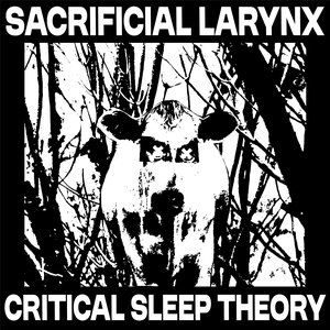 Critical Sleep Theory [Explicit]