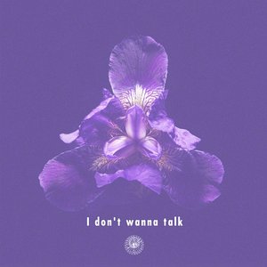 I Don't Wanna Talk