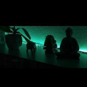 Avatar for Friends Of LED