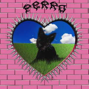 Perro