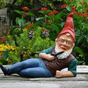 Avatar for Hello Norbert