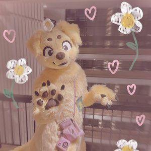 Avatar for flower.puppy