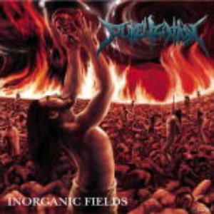 Inorganic Fields