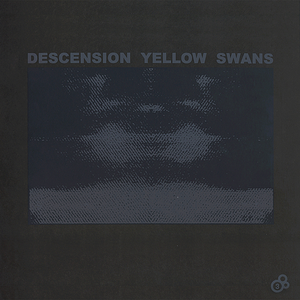 Yellow Swans