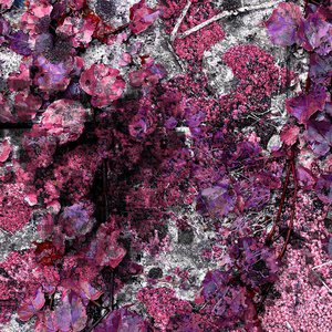 HomeSeq (Inner Version)
