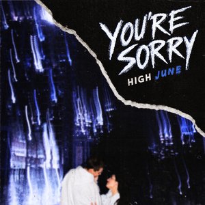 You're Sorry - Single