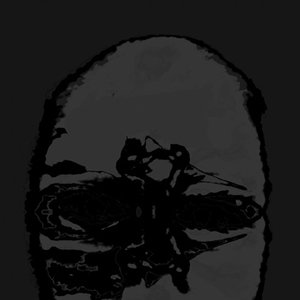 Avatar for Smrznik