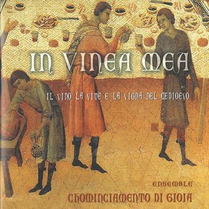 In vinea mea