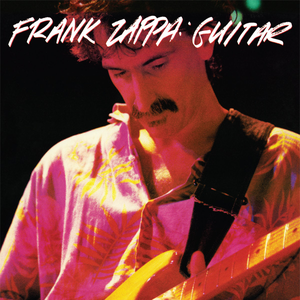 Guitar by Frank Zappa