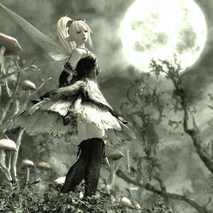 Moonlight Mirage