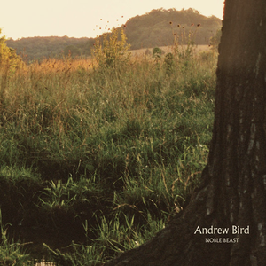 Noble Beast album cover