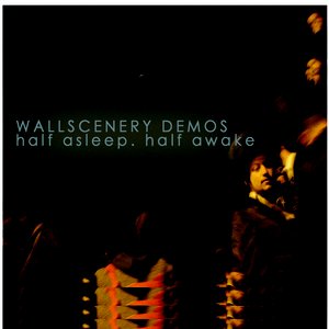 Avatar for wallscenery demos