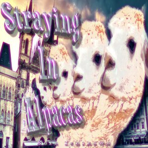 Straying In Alpacas