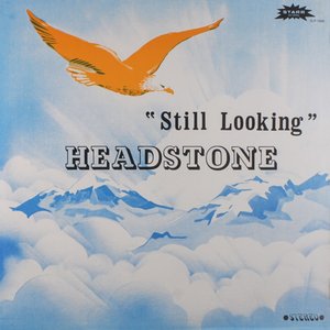 Still Looking