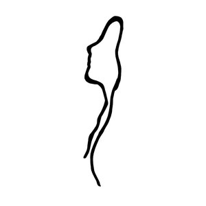 Avatar for pure*vision