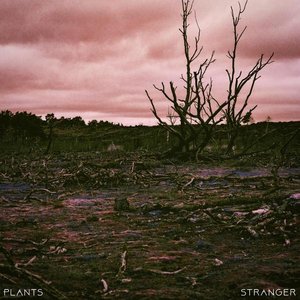 Stranger