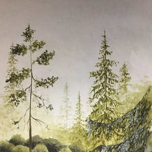 Avatar for Mystiska Skogen