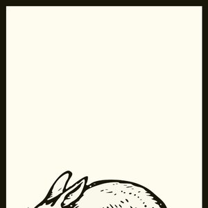 Avatar for Willow Tales