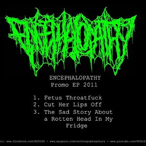 Promo EP 2011