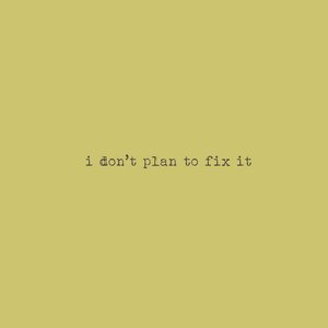 i don’t plan to fix it