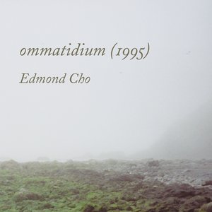 ommatidium (1995)