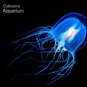 Aquarium