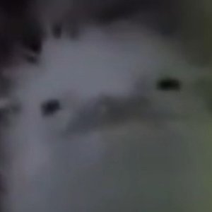 Avatar for Ariclipse