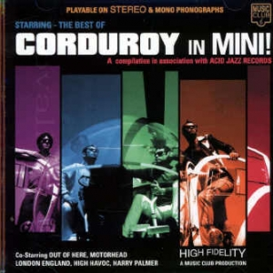Corduroy in Mini!
