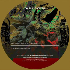 DJ Sotofett's Dub Ash Mixes
