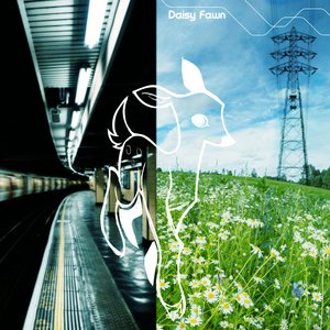 Daisy Fawn