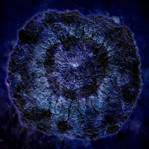 Decaying of Interstellar Extremophile