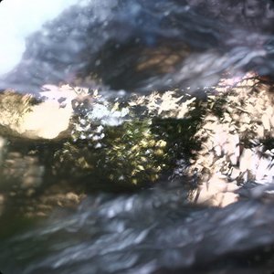 vein