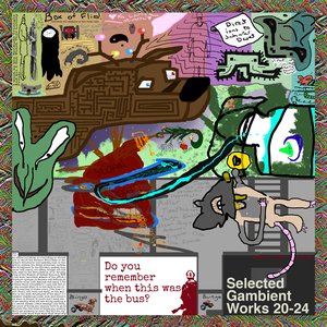 Selected Gambient Works 20-24