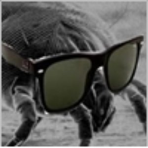 Avatar for Danooct1