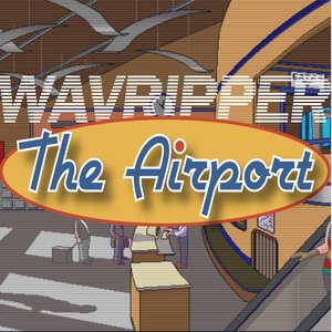 The Airport