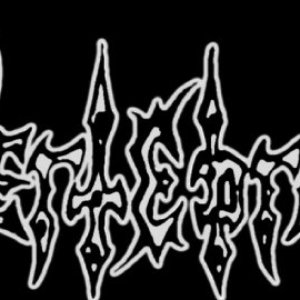 Avatar for Vertebrae