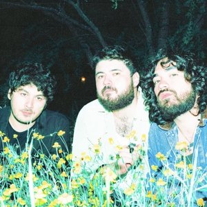 Avatar for Noah Pino Palo