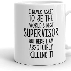 Avatar for Brilliant Supervision