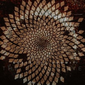 The Collective