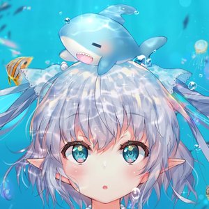 Avatar de エルセとさめのぽき