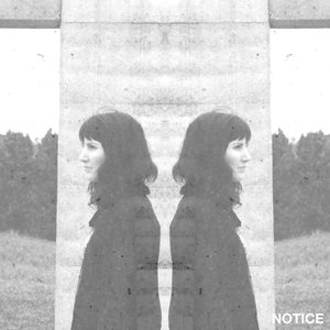 Notice - Single
